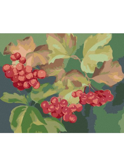 Diamantové maľovanie - ČERVENÉ RÝBEZLE (MYROSLAVA VOLOSCHUK) (Rámovanie bez rámu a bez vypnutia plátna, Rozmer 40x50 cm)