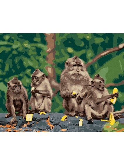 Diamantové maľovanie - ŠTYRI OPICE S BANÁNMI (Rámovanie bez rámu a bez vypnutia plátna, Rozmer 40x50 cm)