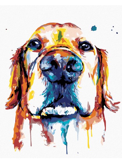 Diamantové maľovanie - ŇUFÁK VO FARBÁCH (Rámovanie bez rámu a bez vypnutia plátna, Rozmer 40x50 cm)