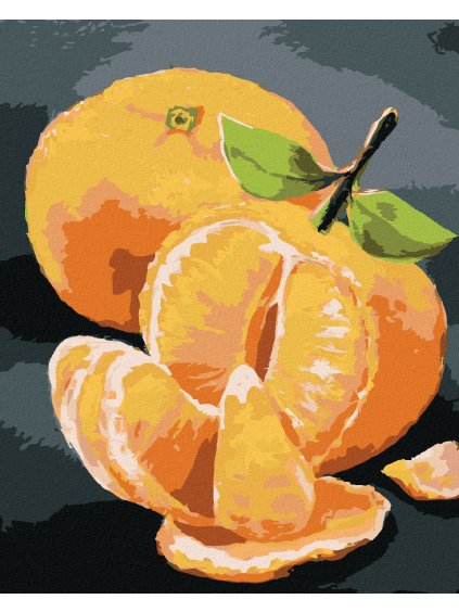 Diamantové maľovanie - DVA POMARANČE (MYROSLAVA VOLOSCHUK) (Rámovanie bez rámu a bez vypnutia plátna, Rozmer 40x50 cm)
