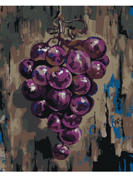 Diamantové maľovanie - FIALOVÉ HROZNO (Rámovanie bez rámu a bez vypnutia plátna, Rozmer 40x50 cm)