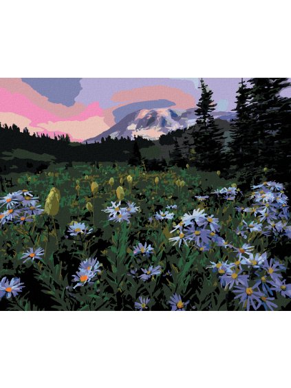 Diamantové maľovanie - FIALOVÉ KVETY NA ÚPÄTI HORY (DENNIS FRATES) (Rámovanie bez rámu a bez vypnutia plátna, Rozmer 40x50 cm)