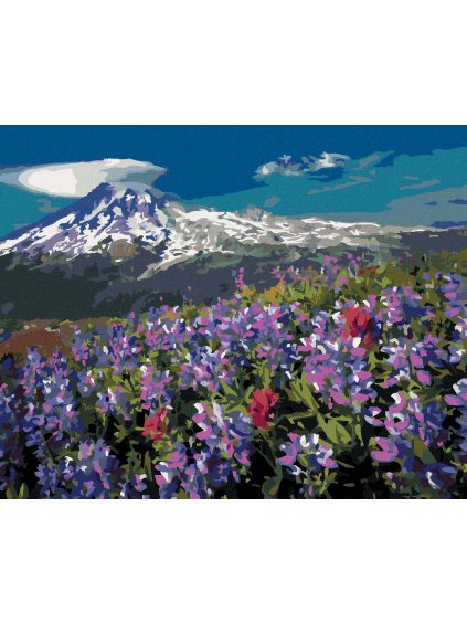 Diamantové maľovanie - FIALOVÉ KVETY V HORÁCH (DENNIS FRATES) (Rámovanie bez rámu a bez vypnutia plátna, Rozmer 40x50 cm)