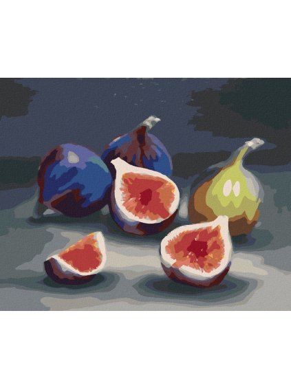 Diamantové maľovanie - FIGOVNÍK 1 (MYROSLAVA VOLOSCHUK) (Rámovanie bez rámu a bez vypnutia plátna, Rozmer 40x50 cm)