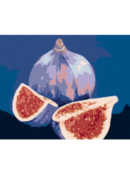 Diamantové maľovanie - FIGOVNÍK 3 (MYROSLAVA VOLOSCHUK) (Rámovanie bez rámu a bez vypnutia plátna, Rozmer 40x50 cm)