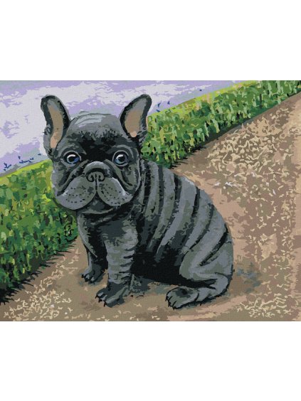 Diamantové maľovanie - FRANCÚZSKY BULDOČEK (Rámovanie bez rámu a bez vypnutia plátna, Rozmer 40x50 cm)