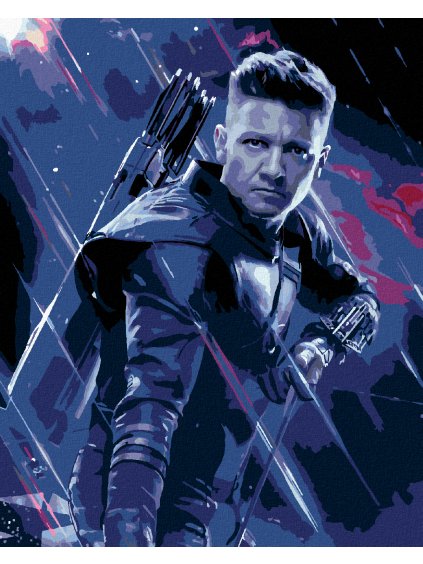 Diamantové maľovanie - HAWKEY V BOJI (Rámovanie bez rámu a bez vypnutia plátna, Rozmer 40x50 cm)