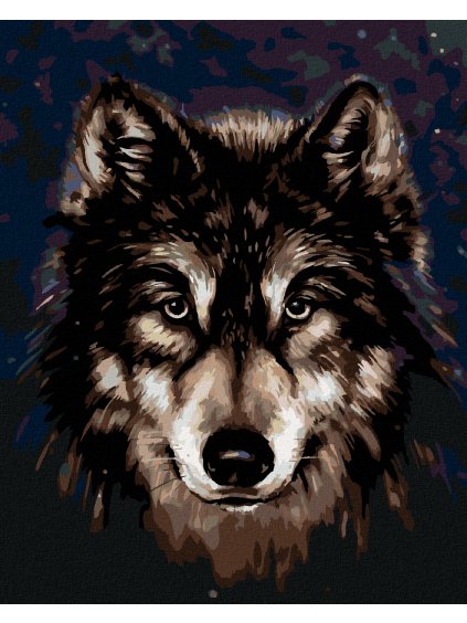 Diamantové maľovanie - HLAVA HUSKYHO NA TMAVOM POZADÍ (Rámovanie bez rámu a bez vypnutia plátna, Rozmer 40x50 cm)