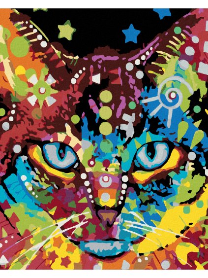 Diamantové maľovanie - MAČACIA HLAVA FAREBNÁ (Rámovanie bez rámu a bez vypnutia plátna, Rozmer 40x50 cm)