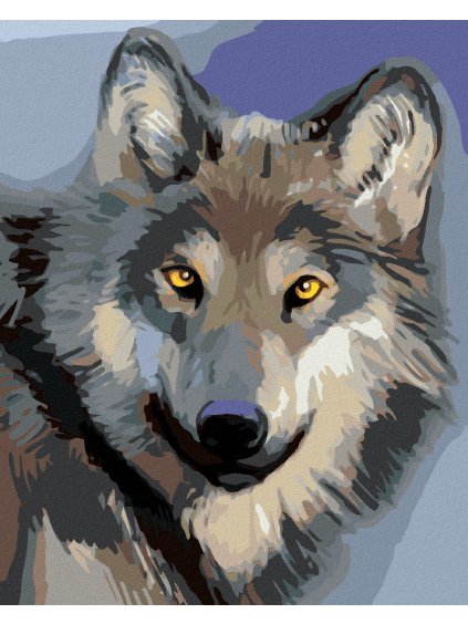 Diamantové maľovanie - HLAVA VLKA (Rámovanie bez rámu a bez vypnutia plátna, Rozmer 40x50 cm)