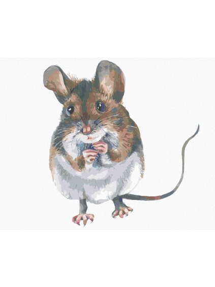 Diamantové maľovanie - HNEDÁ MYŠKA (Rámovanie bez rámu a bez vypnutia plátna, Rozmer 40x50 cm)