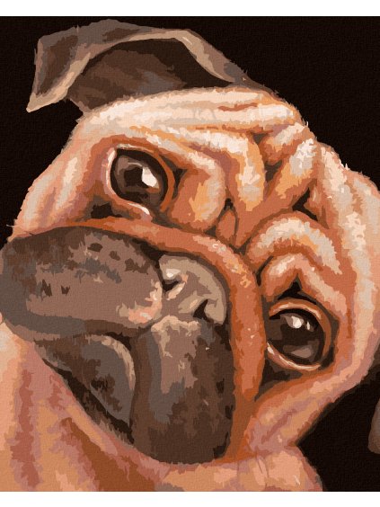 Diamantové maľovanie - HNEDÝ MOPSÍK (MYROSLAVA VOLOSCHUK) (Rámovanie bez rámu a bez vypnutia plátna, Rozmer 40x50 cm)