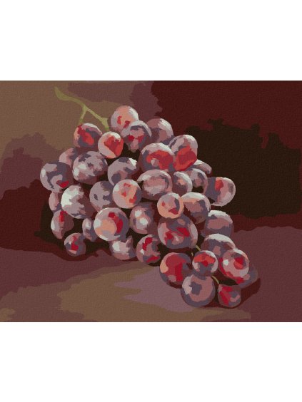 Diamantové maľovanie - HROZNO 1 (MYROSLAVA VOLOSCHUK) (Rámovanie bez rámu a bez vypnutia plátna, Rozmer 40x50 cm)