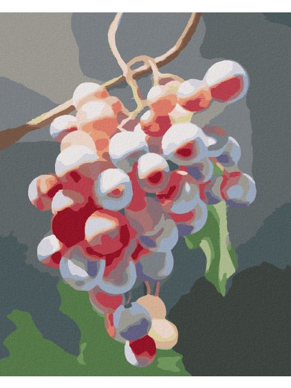 Diamantové maľovanie - HROZNO 2 (MYROSLAVA VOLOSCHUK) (Rámovanie bez rámu a bez vypnutia plátna, Rozmer 40x50 cm)