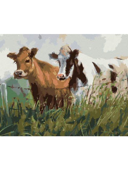 Diamantové maľovanie - DVE KRAVY V OHRADE (Rámovanie bez rámu a bez vypnutia plátna, Rozmer 40x50 cm)