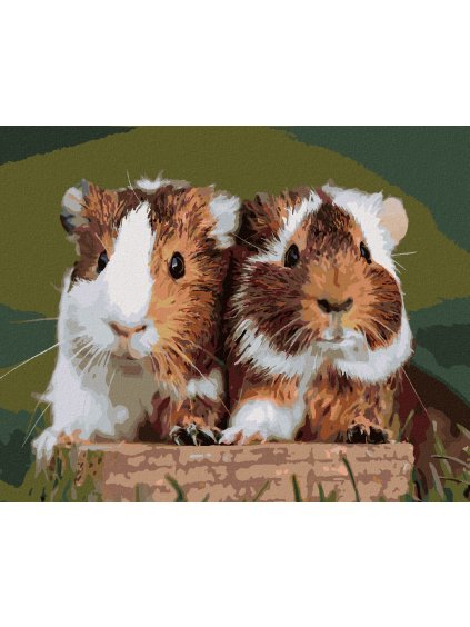 Diamantové maľovanie - DVE MILUJÚCE MORČATÁ (Rámovanie bez rámu a bez vypnutia plátna, Rozmer 40x50 cm)