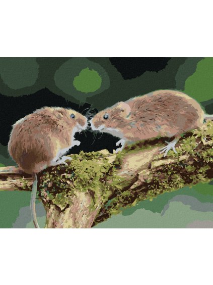 Diamantové maľovanie - DVE MYŠKY V LESE (Rámovanie bez rámu a bez vypnutia plátna, Rozmer 40x50 cm)