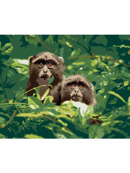Diamantové maľovanie - DVE OPICE V LESE V JUŽNEJ AFRIKE (Rámovanie bez rámu a bez vypnutia plátna, Rozmer 40x50 cm)