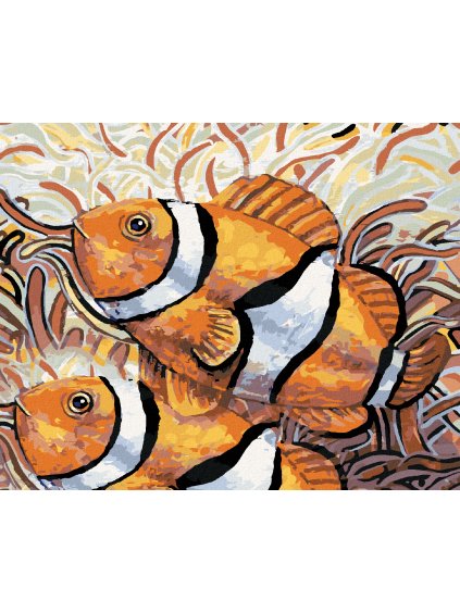 Diamantové maľovanie - DVE RYBY - NEMO (Rámovanie bez rámu a bez vypnutia plátna, Rozmer 40x50 cm)