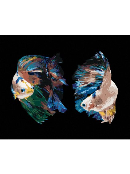 Diamantové maľovanie - DVE RYBY BOJOVNICE (Rámovanie bez rámu a bez vypnutia plátna, Rozmer 40x50 cm)