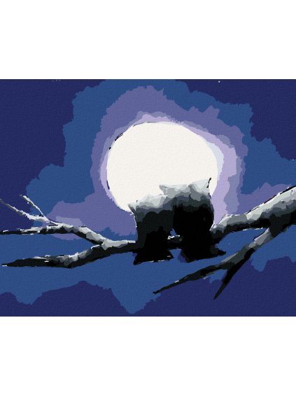 Diamantové maľovanie - DVE SOVY A ŽIARIACI MESIAC (Rámovanie bez rámu a bez vypnutia plátna, Rozmer 40x50 cm)