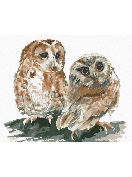 Diamantové maľovanie - DVE SOVY NA BIELOM POZADÍ (Rámovanie bez rámu a bez vypnutia plátna, Rozmer 40x50 cm)