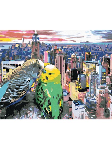 Diamantové maľovanie - DVE ZAMILOVANÉ ANDULKY V NEW YORKU (Rámovanie bez rámu a bez vypnutia plátna, Rozmer 40x50 cm)