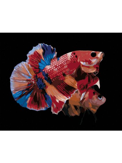 Diamantové maľovanie - DVE FAREBNÉ RYBKY (Rámovanie bez rámu a bez vypnutia plátna, Rozmer 40x50 cm)