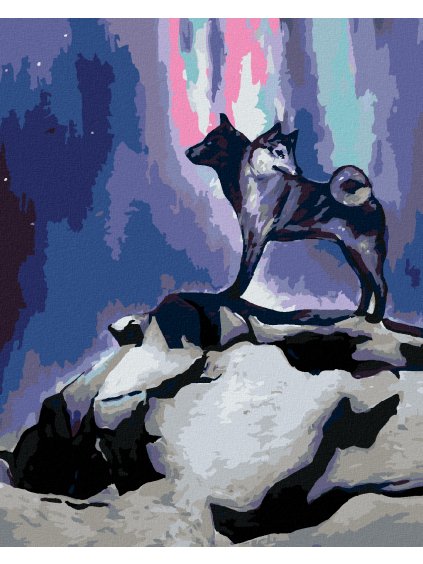 Diamantové maľovanie - DVOJHLAVÝ VLK (Rámovanie bez rámu a bez vypnutia plátna, Rozmer 40x50 cm)