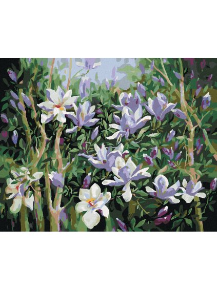 Diamantové maľovanie - JARNÉ MAGNÓLIE (Rámovanie bez rámu a bez vypnutia plátna, Rozmer 40x50 cm)