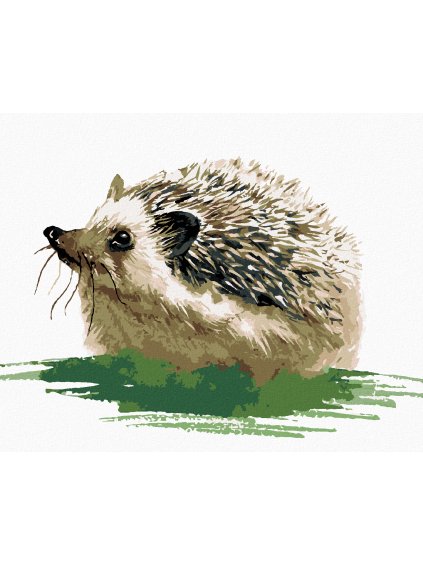 Diamantové maľovanie - JEŽKO NA TRÁVE (Rámovanie bez rámu a bez vypnutia plátna, Rozmer 40x50 cm)