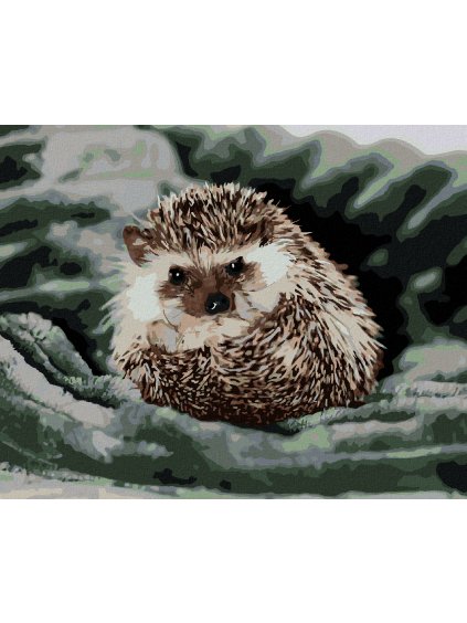 Diamantové maľovanie - JEŽKO NA ZELENEJ DEKE (Rámovanie bez rámu a bez vypnutia plátna, Rozmer 40x50 cm)