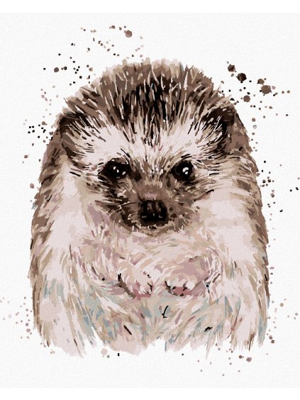 Diamantové maľovanie - JEŽKO S BIELYM POZADÍM (Rámovanie bez rámu a bez vypnutia plátna, Rozmer 40x50 cm)