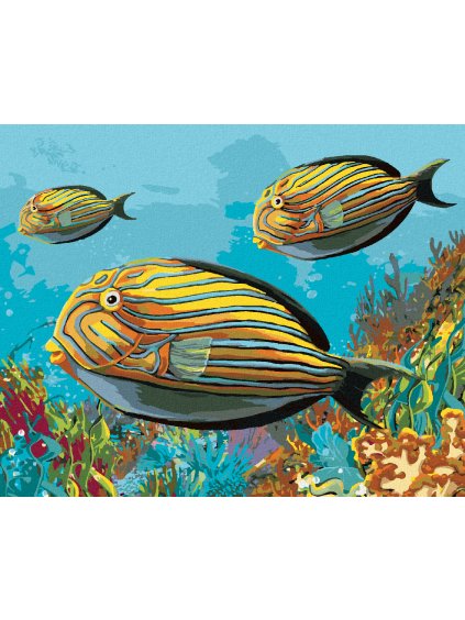 Diamantové maľovanie - ŽLTÉ RYBKY (Rámovanie bez rámu a bez vypnutia plátna, Rozmer 40x50 cm)