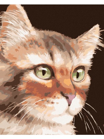 Diamantové maľovanie - MAČKA (MYROSLAVA VOLOSCHUK) (Rámovanie bez rámu a bez vypnutia plátna, Rozmer 40x50 cm)