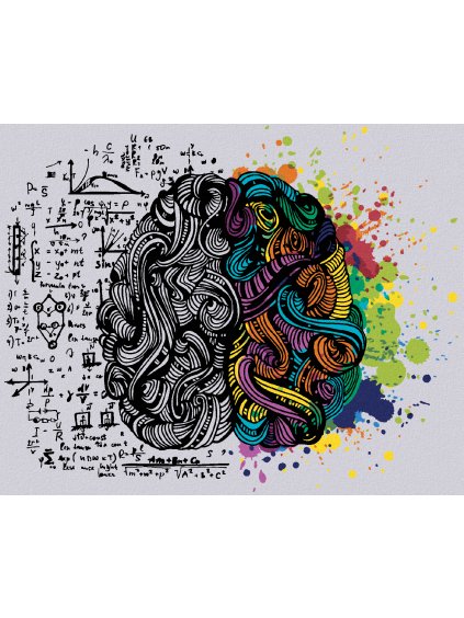 Diamantové maľovanie - KREATÍVNE POJATIE ĽUDSKÉHO MOZGU (Rámovanie bez rámu a bez vypnutia plátna, Rozmer 40x50 cm)