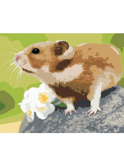 Diamantové maľovanie - ŠKREČOK NA KAMENI (Rámovanie bez rámu a bez vypnutia plátna, Rozmer 40x50 cm)