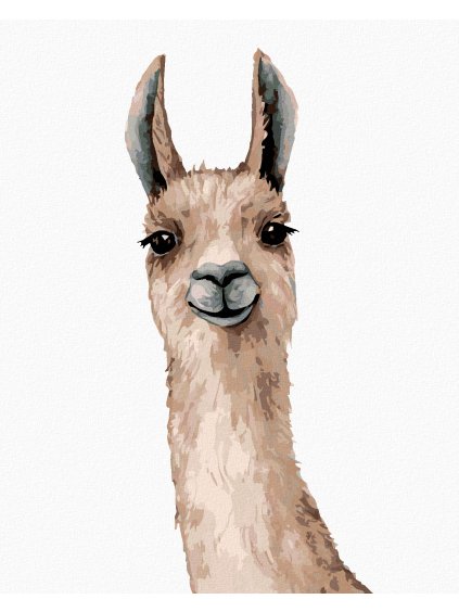 Diamantové maľovanie - LAMA NA BIELOM POZADÍ (Rámovanie bez rámu a bez vypnutia plátna, Rozmer 40x50 cm)