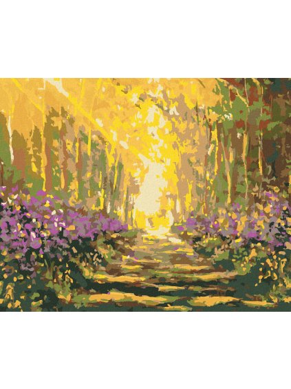 Diamantové maľovanie - LETNÁ PRECHÁDZKA LESOM (Rámovanie bez rámu a bez vypnutia plátna, Rozmer 40x50 cm)