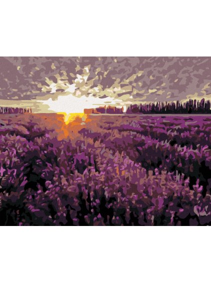 Diamantové maľovanie - LEVANDUĽOVÉ POLE PRI ZÁPADE SLNKA (Rámovanie bez rámu a bez vypnutia plátna, Rozmer 40x50 cm)