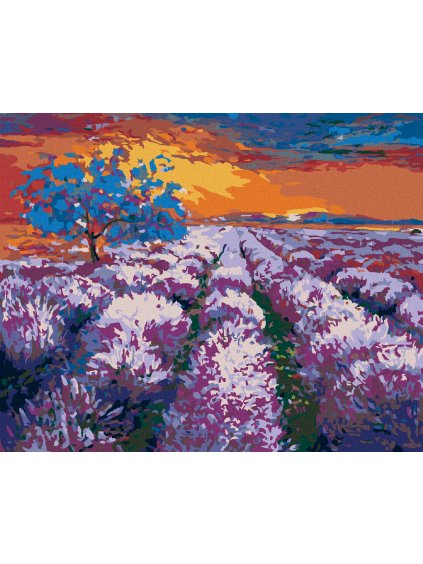 Diamantové maľovanie - LEVANDUĽOVÉ POLE PRI ZÁPADE SLNKA II (Rámovanie bez rámu a bez vypnutia plátna, Rozmer 40x50 cm)