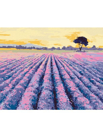 Diamantové maľovanie - LEVANDUĽOVÉ POLE SO STROMOM (Rámovanie bez rámu a bez vypnutia plátna, Rozmer 40x50 cm)