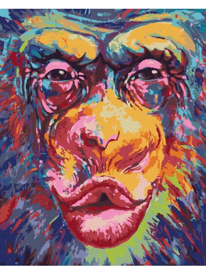 Diamantové maľovanie - BOZKÁVAJÚCE OPICE (Rámovanie bez rámu a bez vypnutia plátna, Rozmer 40x50 cm)