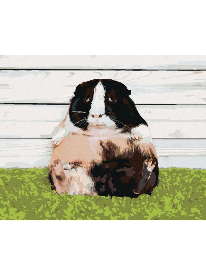 Diamantové maľovanie - LENIVÉ MORČA (Rámovanie bez rámu a bez vypnutia plátna, Rozmer 40x50 cm)