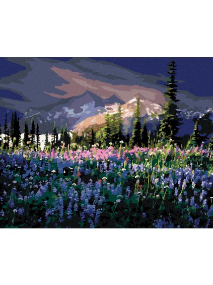 Diamantové maľovanie - LUČNÉ KVETY V HORÁCH (DENNIS FRATES) (Rámovanie bez rámu a bez vypnutia plátna, Rozmer 40x50 cm)