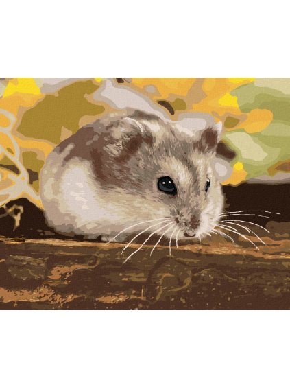 Diamantové maľovanie - MALÝ ŠKREČOK (Rámovanie bez rámu a bez vypnutia plátna, Rozmer 40x50 cm)