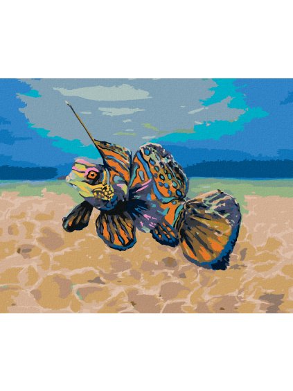 Diamantové maľovanie - MANDARINKOVÁ RYBKA (Rámovanie bez rámu a bez vypnutia plátna, Rozmer 40x50 cm)