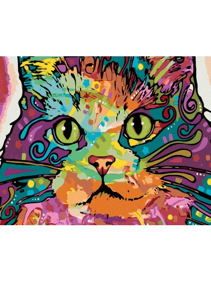 Diamantové maľovanie - MAPA KOCÚRA (Rámovanie bez rámu a bez vypnutia plátna, Rozmer 40x50 cm)