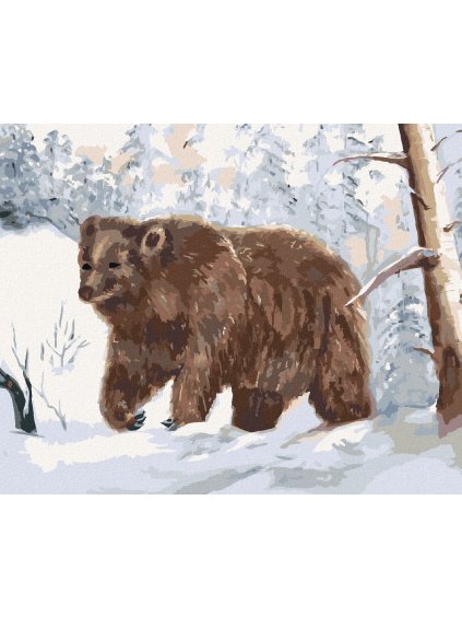 Diamantové maľovanie - MEDVEĎ V ZASNEŽENOM LESE (Rámovanie bez rámu a bez vypnutia plátna, Rozmer 40x50 cm)