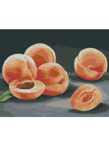 Diamantové maľovanie - MARHULE (MYROSLAVA VOLOSCHUK) (Rámovanie bez rámu a bez vypnutia plátna, Rozmer 40x50 cm)